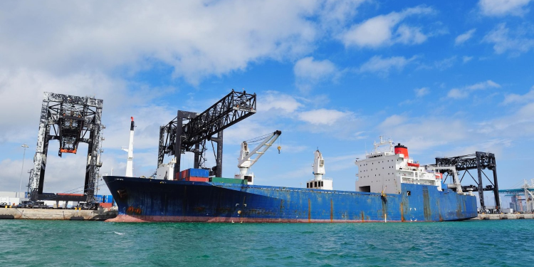 Coalición exige revisión integral de impactos en el Golfo de California