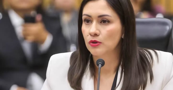 Blanca Yassahara Cruz García es elegida como consejera presidenta provisional del INE