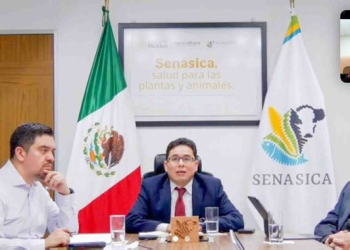 Apoya AGRICULTURA al establecimiento TIF afectado por huracán Polo en Sonora