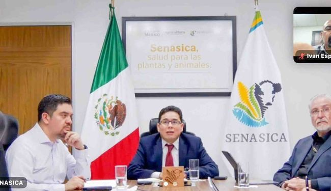 Apoya AGRICULTURA al establecimiento TIF afectado por huracán Polo en Sonora