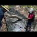 Los ríos de México, los más contaminados del mundo