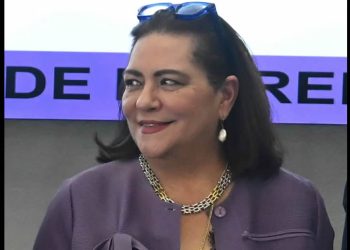 La “generación del 15” con la que llegó Guadalupe Taddei al INE
