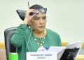 Senadores exigen a Guadalupe Taddei aclarar señalamientos de presunta corrupción