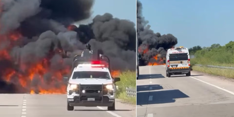 Vinculan al ‘El Hot Dog’ por Sustraer Potrillo Alazán en Ures, Sonora