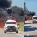 Vinculan al ‘El Hot Dog’ por Sustraer Potrillo Alazán en Ures, Sonora