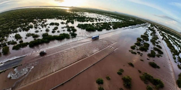 Huracán ‘Polo’ arrasó con mil 300 hectáreas de hortalizas en Guaymas y Empalme